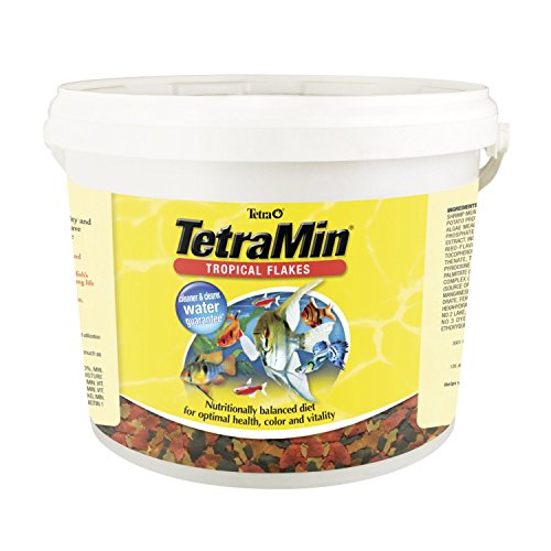 Tetra AA5109 Tetramin Tropical Flakes Fish Aliments 4,52 lb.