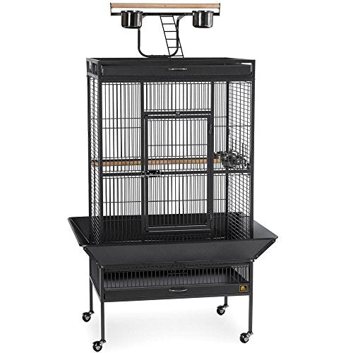 Produits pour animaux de compagnie PREVUE 3153BLK Cage de sélection en fer forgé (noir, 30x22x60in)