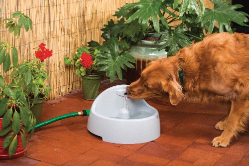 PetSafe Drinkwell Everflow Indoor/Outdoor Water Fountain