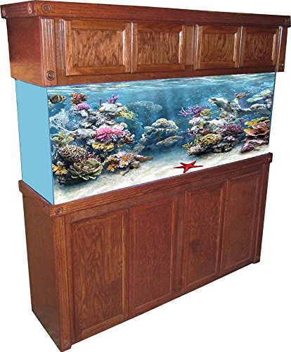 R&J Enterprises Empire Cabinet