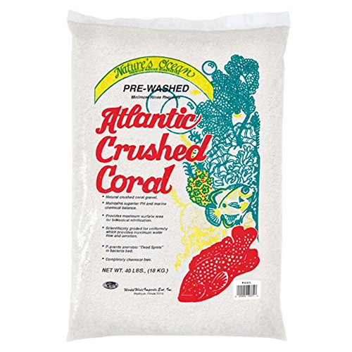 Natures Ocean AM0817 Sable de corail atlantique 20lbx2pc