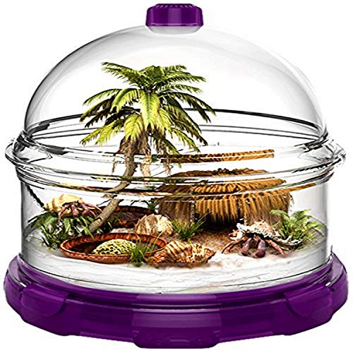 BioBubble Terra Pet Cage - Purple
