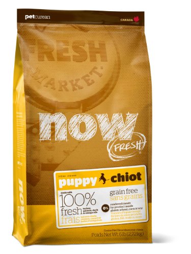 Petcurean 230-1006 Now Fresh Grain Free Puppy Recipe For Dog (6LB (4))