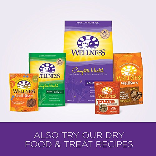 Wellness Complete Health Natural Wet Canned Dog Food, Whitefish and Sweet Potato Recipe, 6-Ounce Can (Pack of 24)