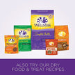 Wellness Complete Health Natural Wet Canned Dog Food, Whitefish and Sweet Potato Recipe, 6-Ounce Can (Pack of 24)