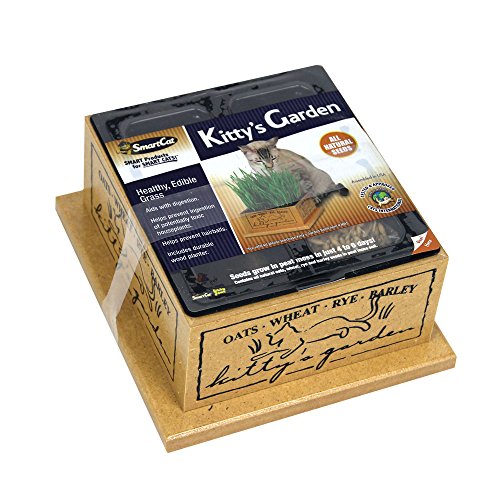SmartCat Kitty's Garden Refill