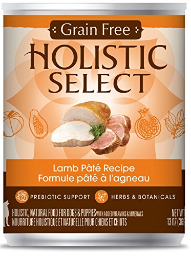 Holistic Select 47175 Grain Free Turkey and Duck Dog Pate Food 12/13OZ