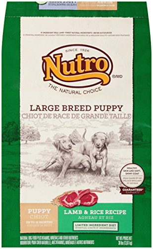 NUTRO Natural Choice Large Breed Puppy Lamb and Whole Brown Rice Formula Dog Food 30 Pounds