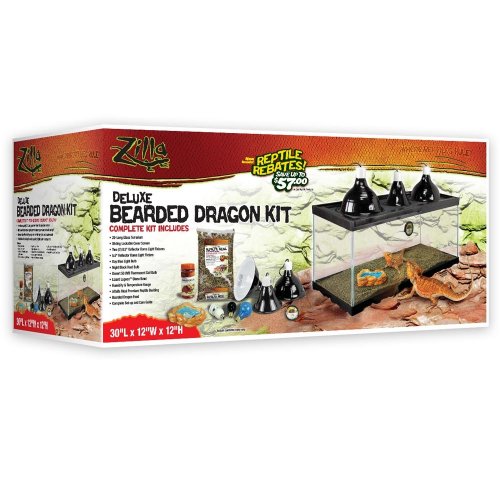 Kit de dragon barbu de luxe de luxe zila