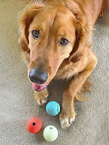 Chuckit! Fetch Medley Balls 3-Pack
