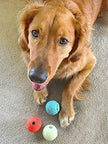 Chuckit! Fetch Medley Balls 3-Pack