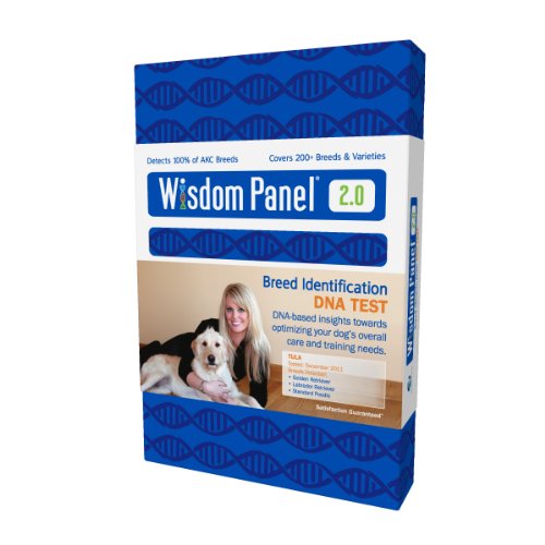 Wisdom Panel 2.0 Breed Identification DNA Test Training Kit