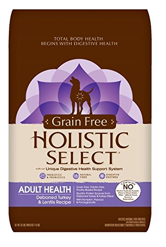 Holistic Select Grain Free Adult Deboned Turkey/Lentil 26LB