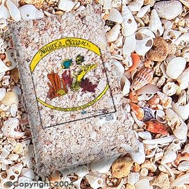 Nature's Ocean 10231 Marine Shell Hawaiian Puka #10 15 LB