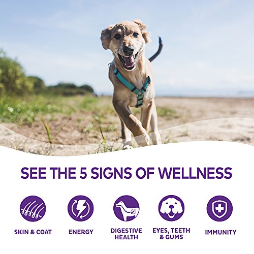 Wellness Complete Health Natural Wet Canned Dog Food Venison & Sweet Potato