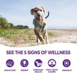 Wellness Complete Health Natural Wet Canned Dog Food Venison & Sweet Potato