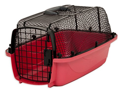 Petmate Look N See Pet Carrier For Dog