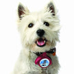 Leash Locket Small-Medium Leash Locket, Black