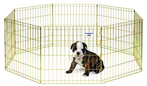 Exercise Pen