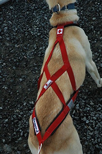 Canadog Collared Lightweight Fleece Dog Harness