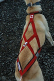 Canadog Collared Lightweight Fleece Dog Harness