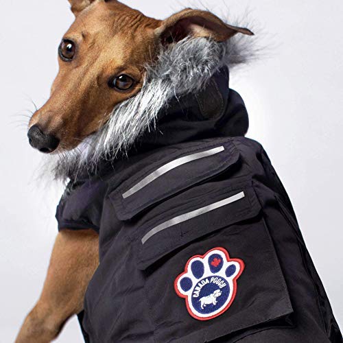 Canada Pooch Everest Explorer Jacket, Black, Size 24