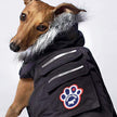 Canada Pooch Everest Explorer Jacket, Black, Size 24