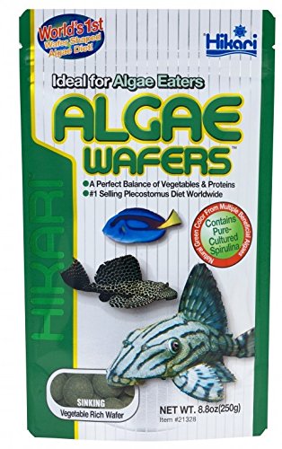 Hikari 21366 Tropical Algae Wafers Fish Food 2.2 LB