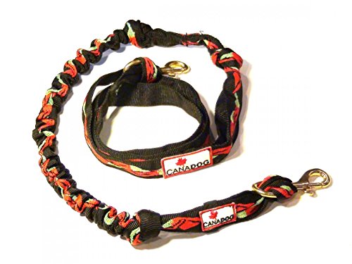 Canadog Canicross Starter kit Designer and Vivid