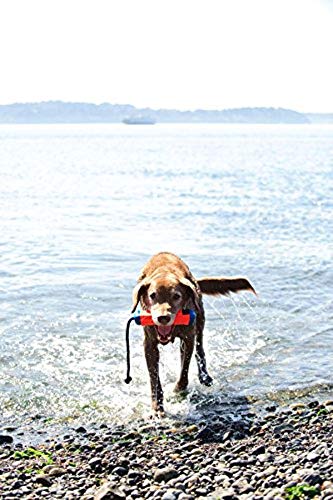 Chuckit matériel canin! Jouet flottant amphibie pour pare-chocs