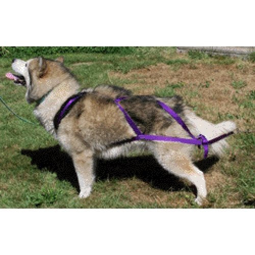 Canadog Regular X-Back Rigstop Lined Harness For Dog