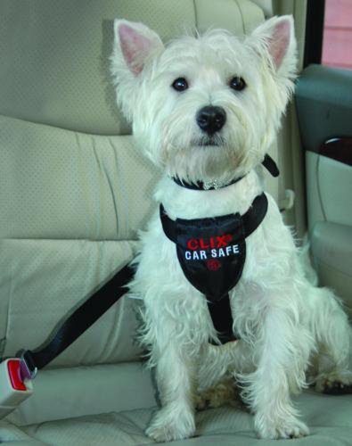 Clix Car Safe Dog Harness Size: Small (21-25.5" G) by The Company of Animals [Pet Supplies]