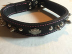 Coastalpet Harley-Davidson Leather Spiked Collar Black With Pink (20 inch)
