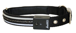 La compagnie des animaux collier de chiens moyens moyens, noir
