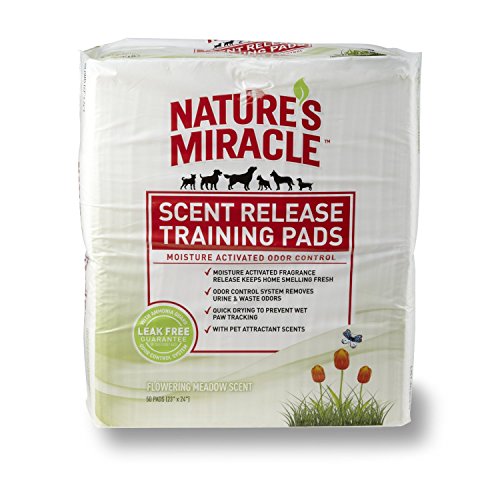 Nature's Miracle NM-5376 Tampons d'entraînement parfumés à la floraison 50ct