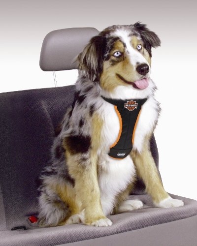 Coastalpet Harley-Davidson Car Harness In Black with Orange trim (Medium)