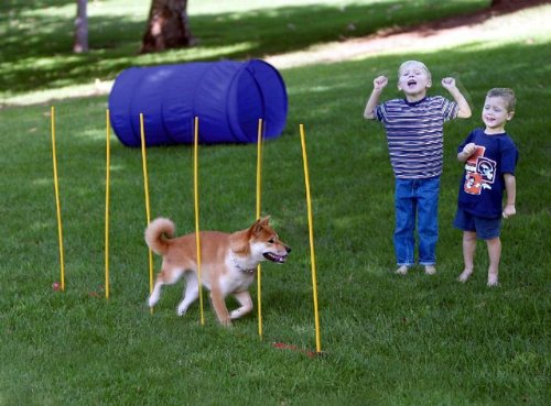 Hound Hound Kyjen DG40100 Kit de démarrage d'agilité pour chiens avec tunnel de chien tisser les obstacles à saut en hauteur, grand, rouge