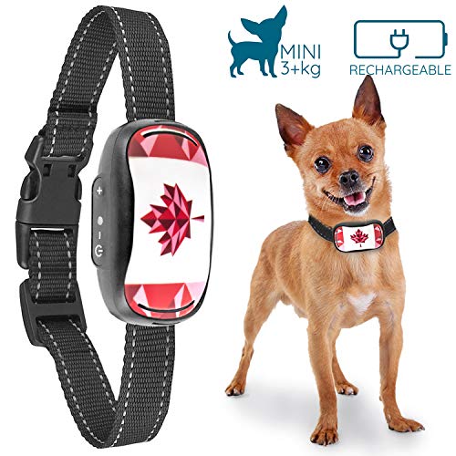 Goodboy Small Dog Bark Collar pour chiens minuscules à moyens par Goodboy Rechargeable et résistant aux intempéries vibrants anti-écorce qui est le plus petit et le plus sûr sur Amazon - pas de choc sans dentrages épineux (3 + kg)