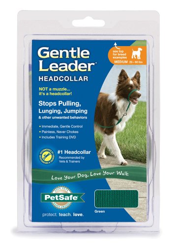 Radio Systems PRP-GLQHCMGR Gentle Leader Quick Release Headcollar, Medium, Green