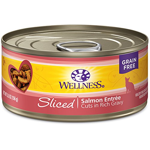 Wellness Natural Canned Grain Free Wet Cat Food, Sliced Salmon, 5.5-Ounce Can (Pack of 24)
