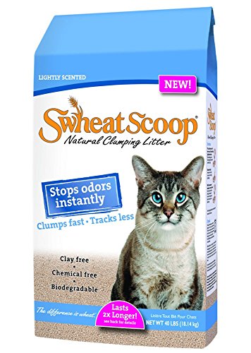 Swheat Scoop Lightly Scented Cat Litter