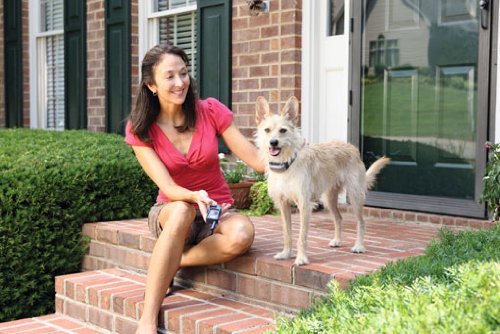 PetSafe Remote Trainer Deluxe Radio contrôlé pour les gros chiens, 900 m