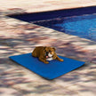 K&H Manufacturing Cool Bed III Cooling Dog Bed