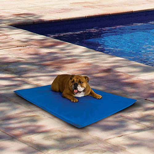 K&H Manufacturing Cool Bed III Cooling Dog Bed, Medium, 22-Inch by 32-Inch, Blue