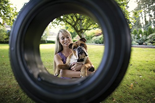 PetSafe In-Ground Fence Receiver Collars for Cats and Dogs, Waterproof, Tone and Static Correction