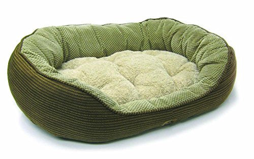 Précision 2463-74739 Snoozzy Oreiller Daydremer Soft Daydremer Lit (plaid marron, 36x27x11)