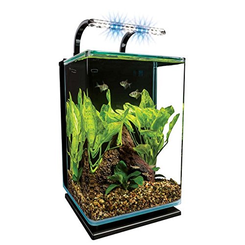 Marineland ML90611 Kit d'aquarium en verre de contour avec feu de rail 5 gallons
