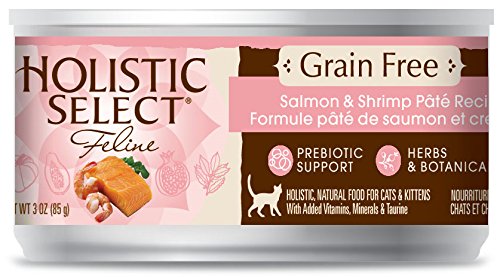 Holistic Select 47152 Grain Free Salmon and Shrimp Pate Food For Cat (24/3OZ)