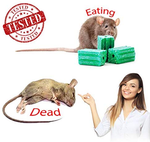 Tomcat Mouse-Rodent Killer-Child et Station d'appâts à 4 packs résistants à un chien