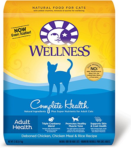 Wellnes Adult Health Salmon & Whitefish Dry Food For Cat